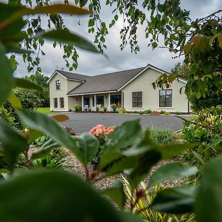 Slidala B&B Roscrea Exteriér fotografie