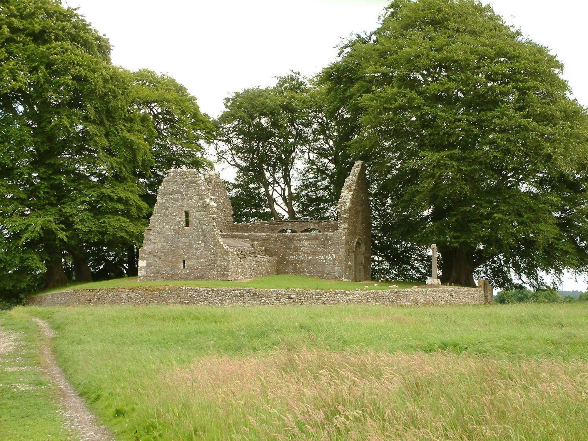 Slidala B&B Roscrea Exteriér fotografie