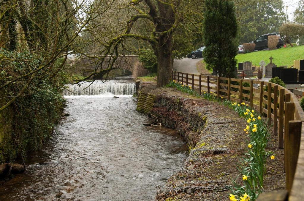 Slidala B&B Roscrea Exteriér fotografie