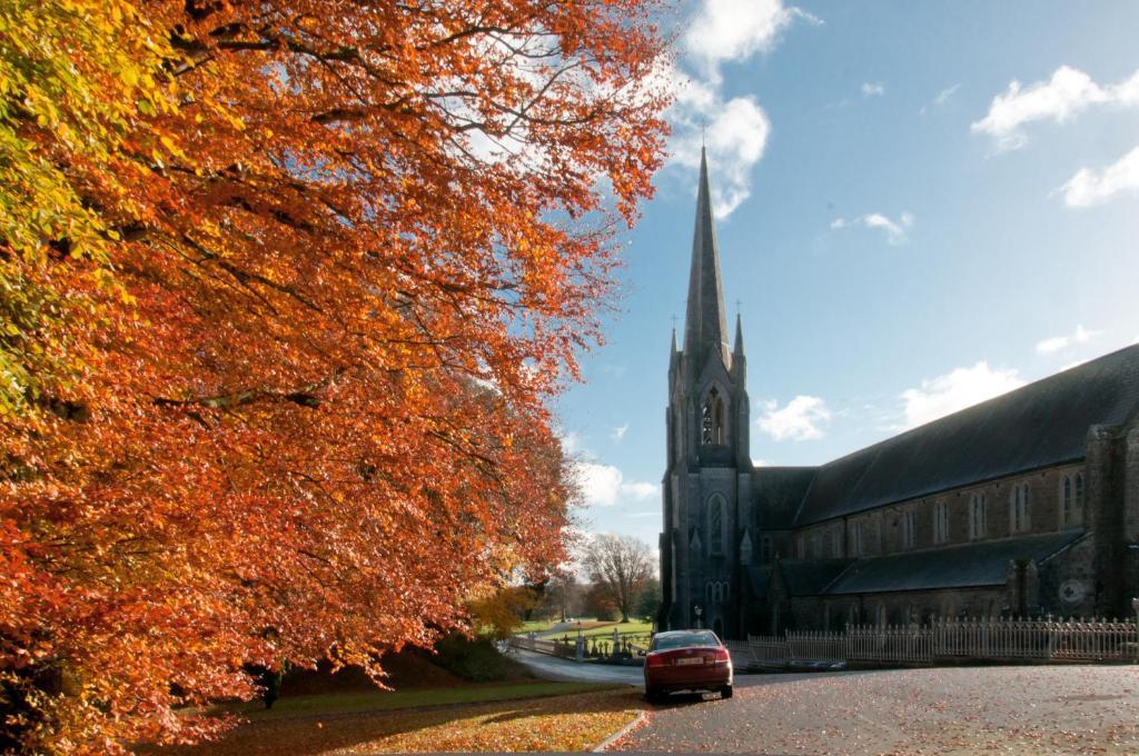Slidala B&B Roscrea Exteriér fotografie