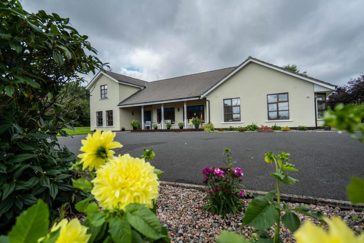 Slidala B&B Roscrea Exteriér fotografie
